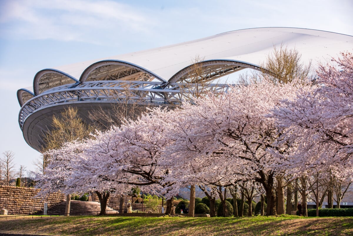 新潟県立鳥屋野潟公園 女池地区・鐘木地区の写真1