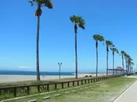 二色の浜公園 海浜緑地