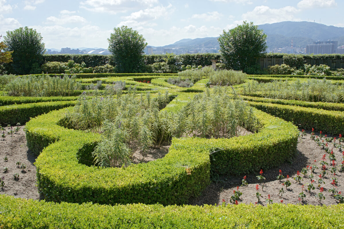 柳が崎湖畔公園びわ湖大津館の写真10