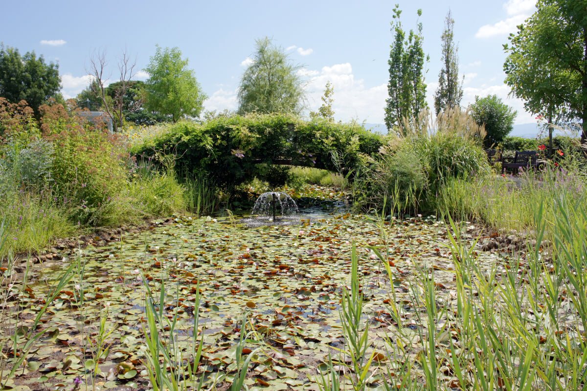 柳が崎湖畔公園びわ湖大津館の写真13