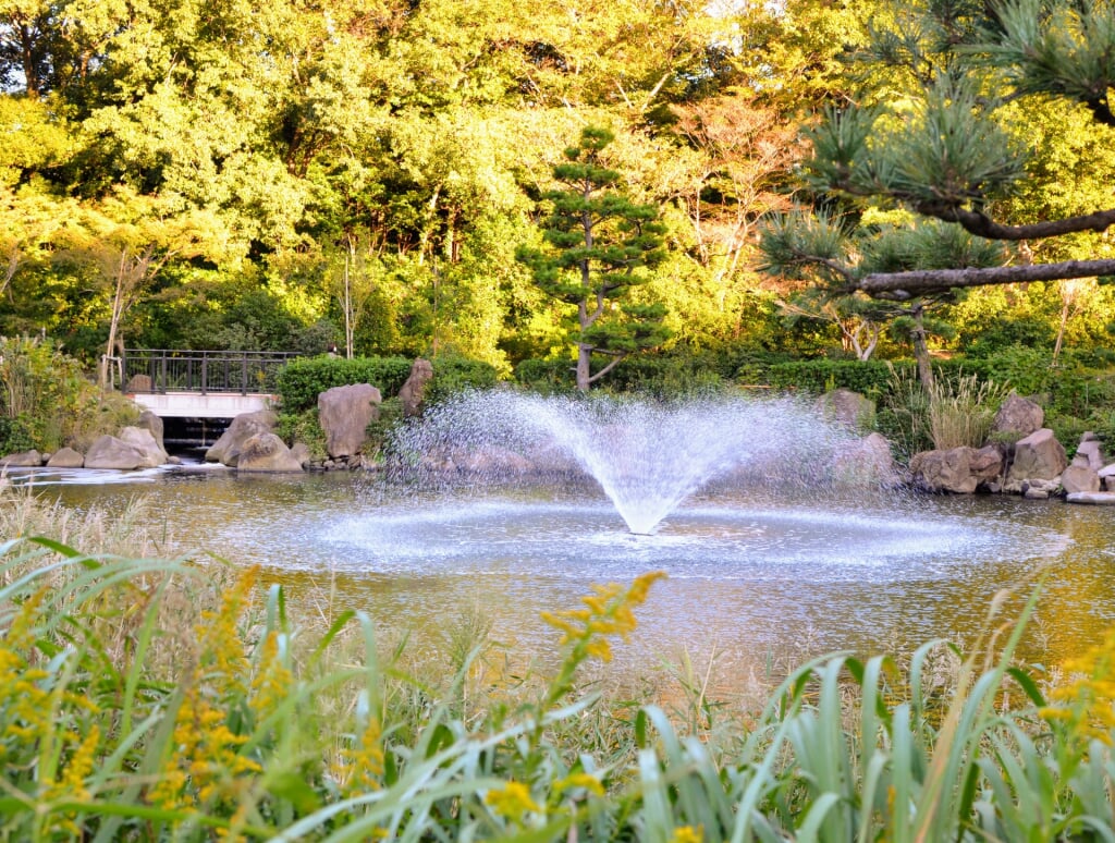 しながわ区民公園の写真3