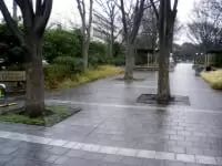 しながわ区民公園