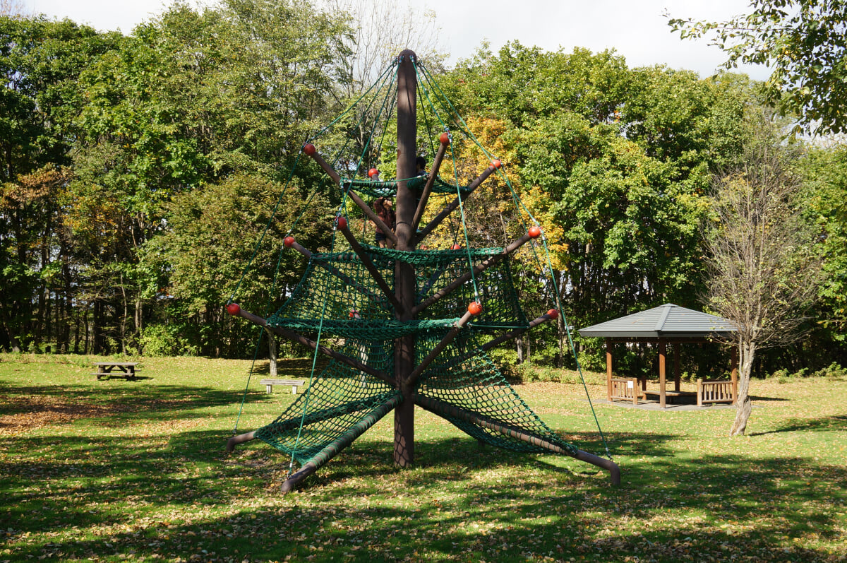 道の駅　なかさつないの写真3