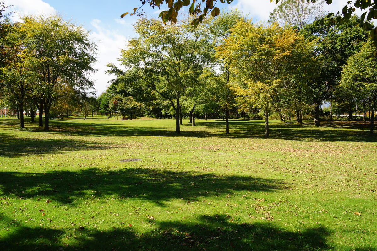 道の駅　なかさつないの写真8