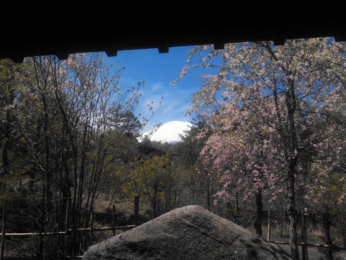 山中湖文学の森公園の写真3