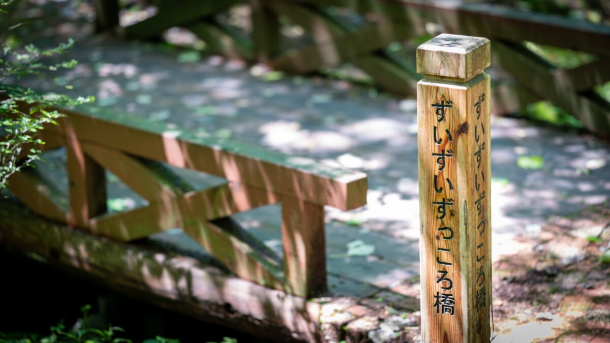 山中湖文学の森公園の写真1