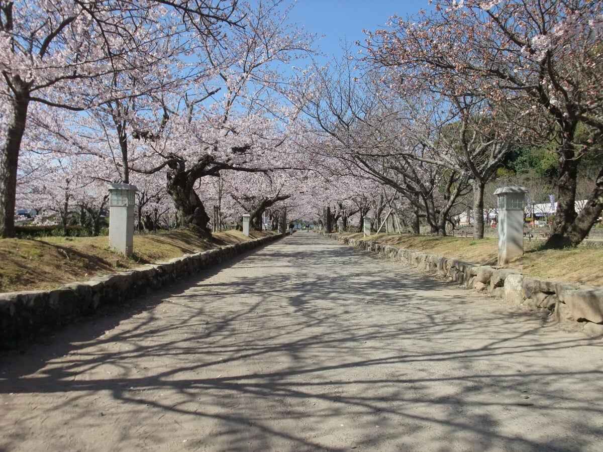 大村公園　玖島城跡の写真3