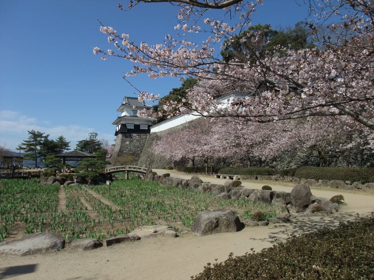 大村公園　玖島城跡の写真4