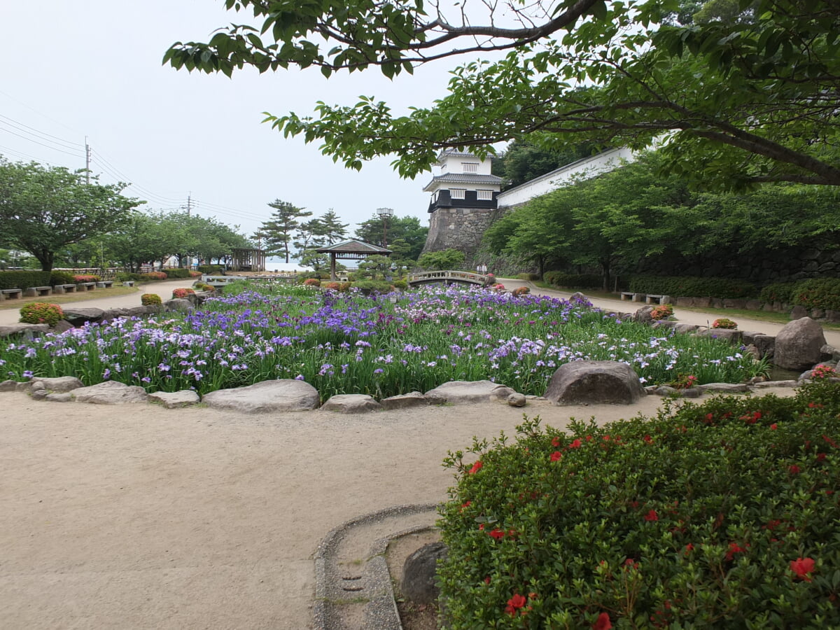 大村公園　玖島城跡の写真5