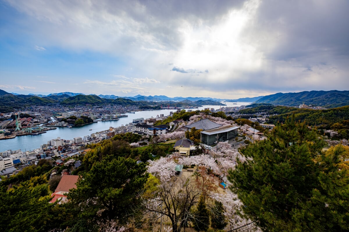 千光寺公園の写真8