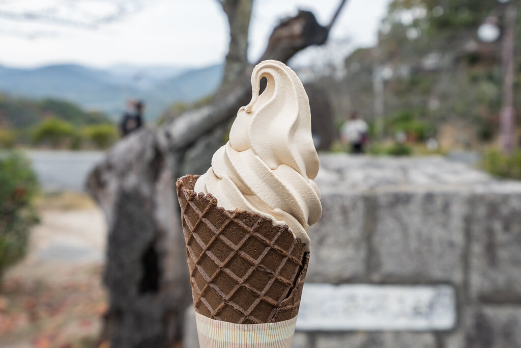 千光寺公園の写真9