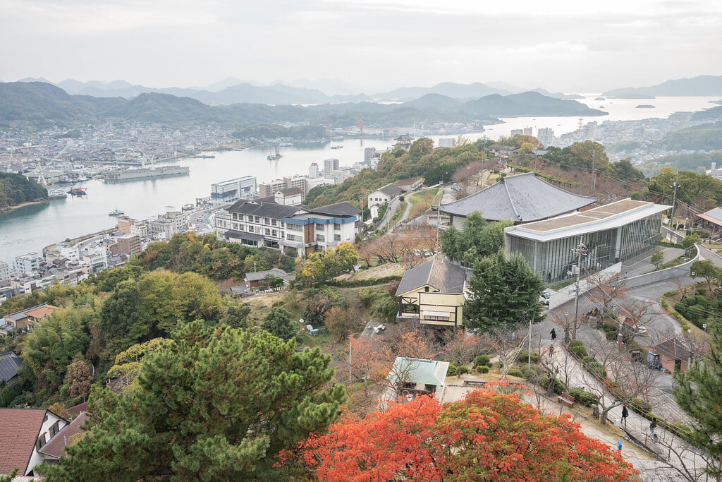 千光寺公園の写真10