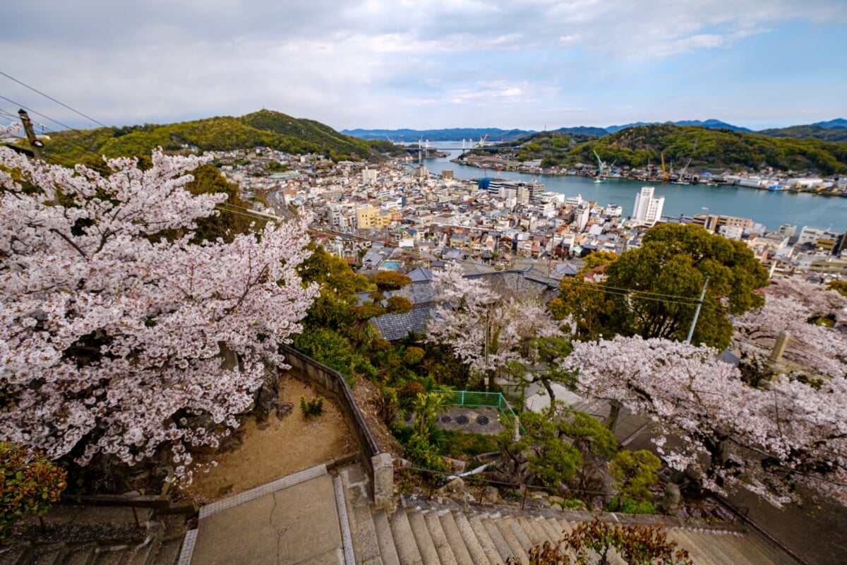千光寺公園の写真16