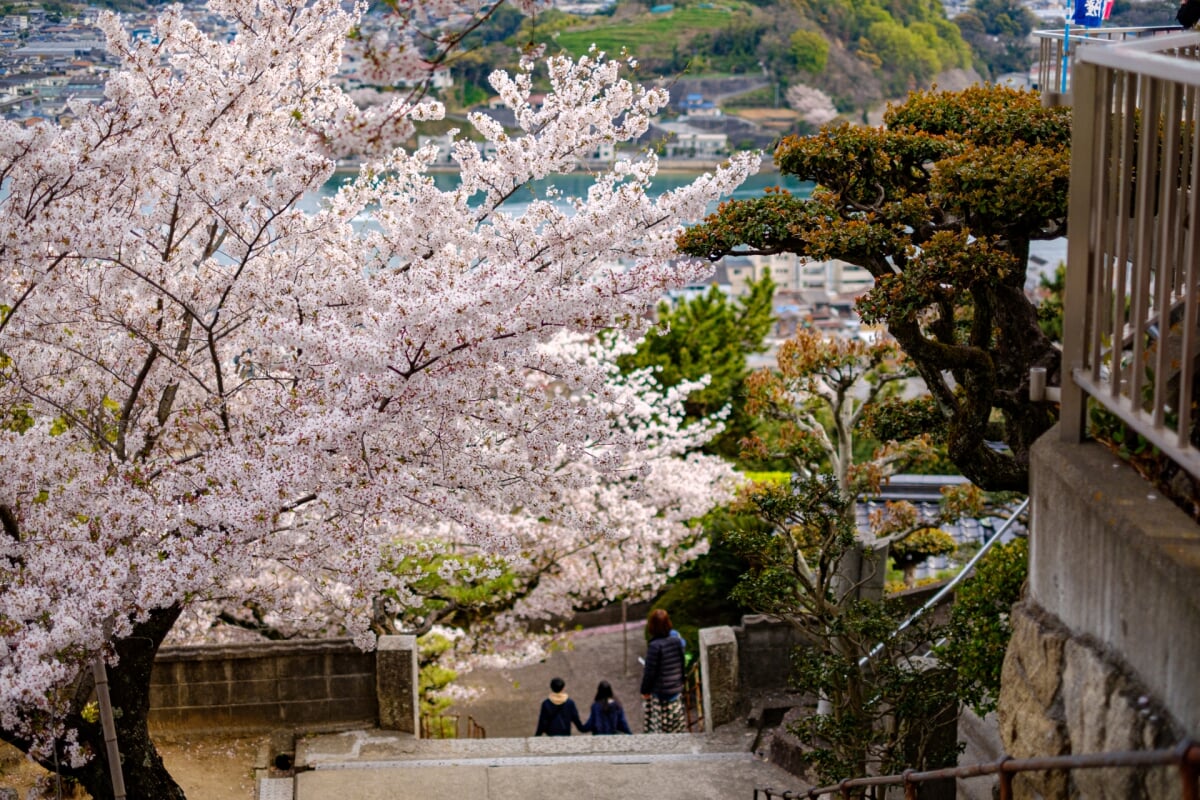 千光寺公園の写真1