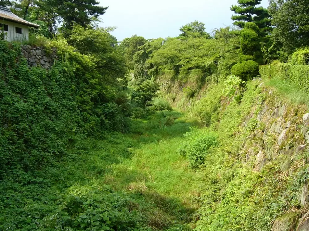 郡山城跡の写真1