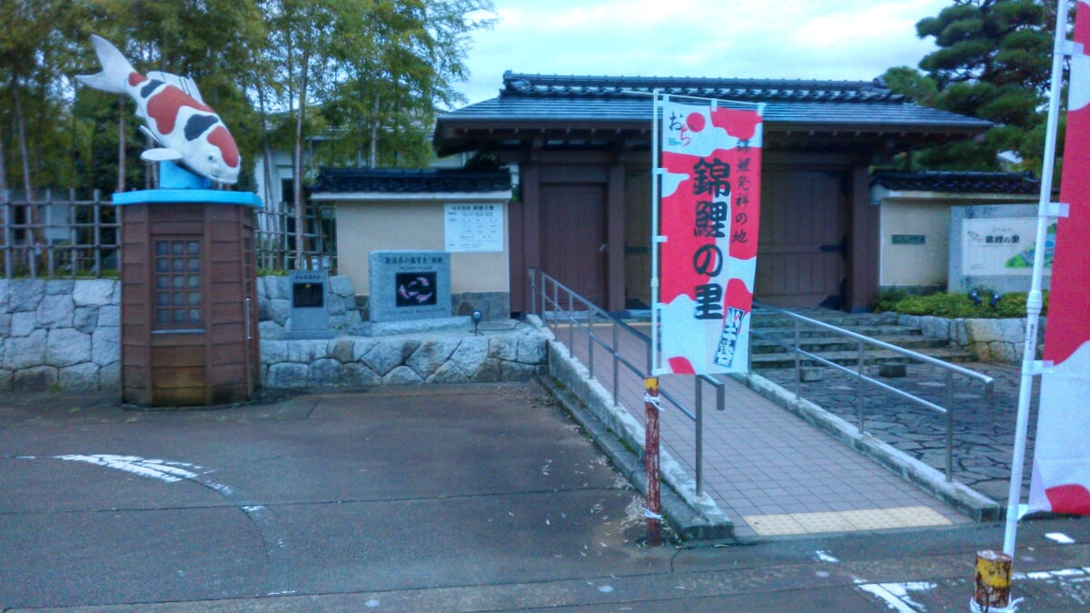 小千谷市錦鯉の里の写真4