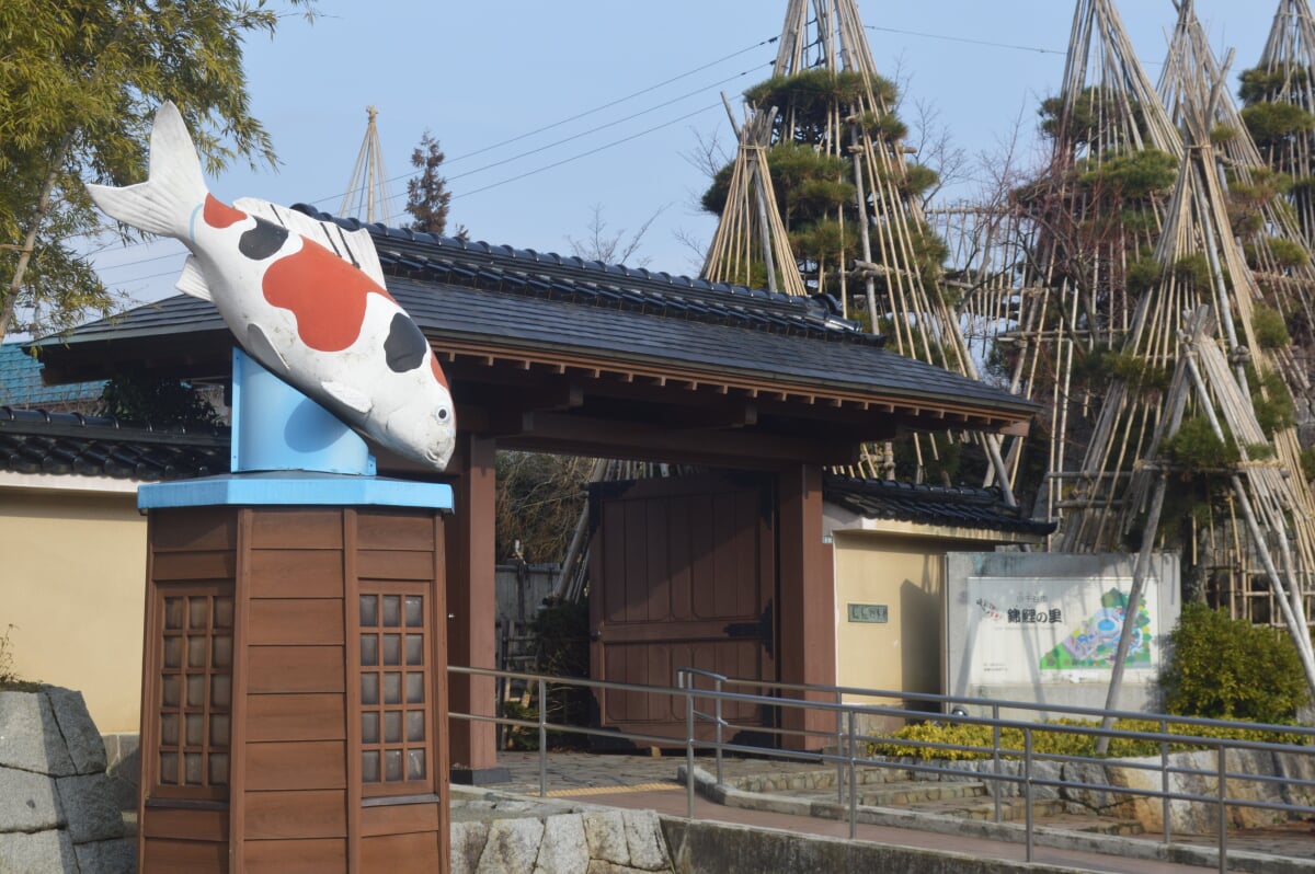 小千谷市錦鯉の里の写真5