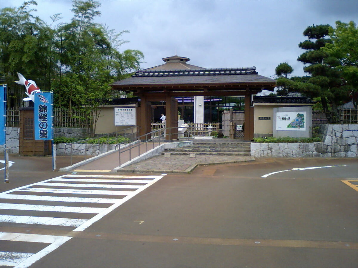 小千谷市錦鯉の里の写真1