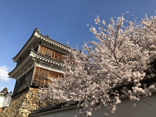 福知山城の写真15