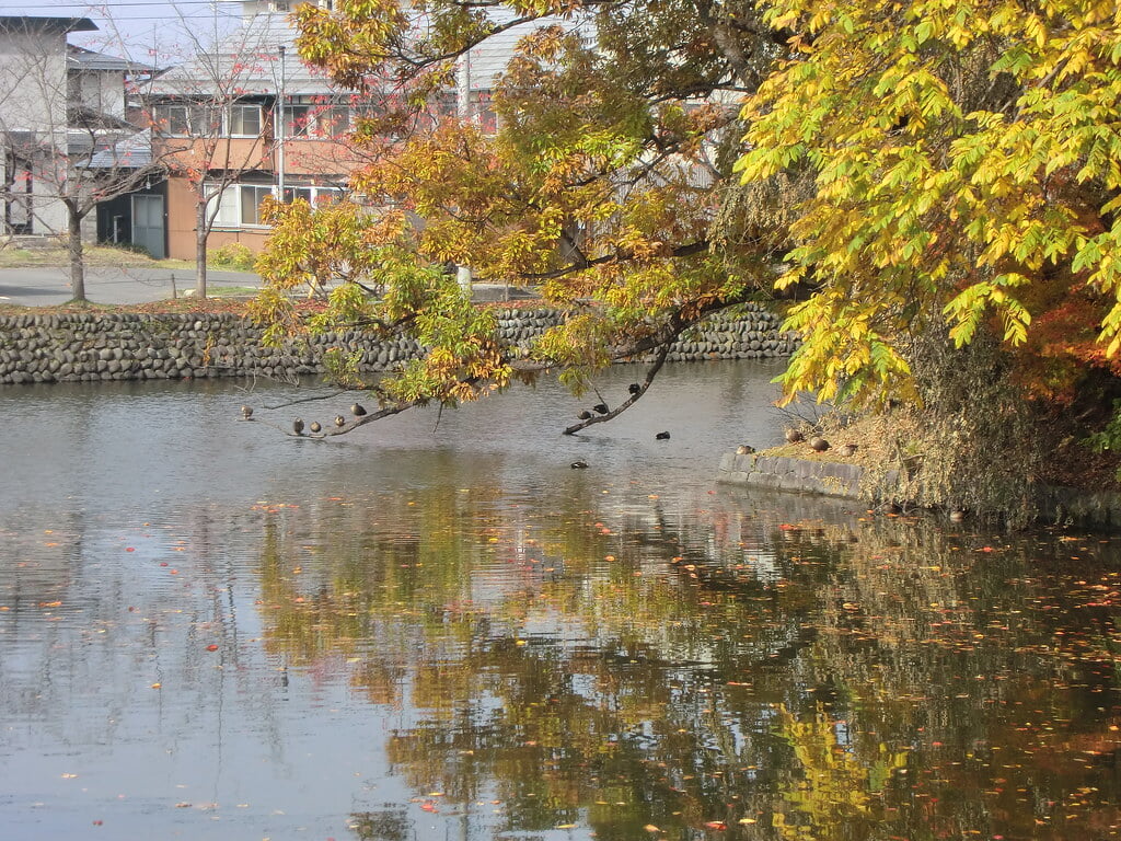 松が岬公園の写真9