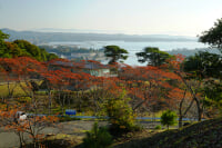 西行戻しの松公園