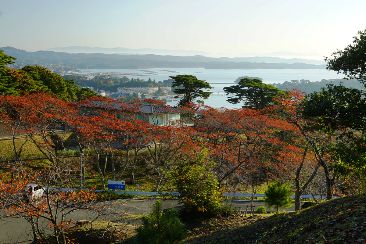 西行戻しの松公園の写真1