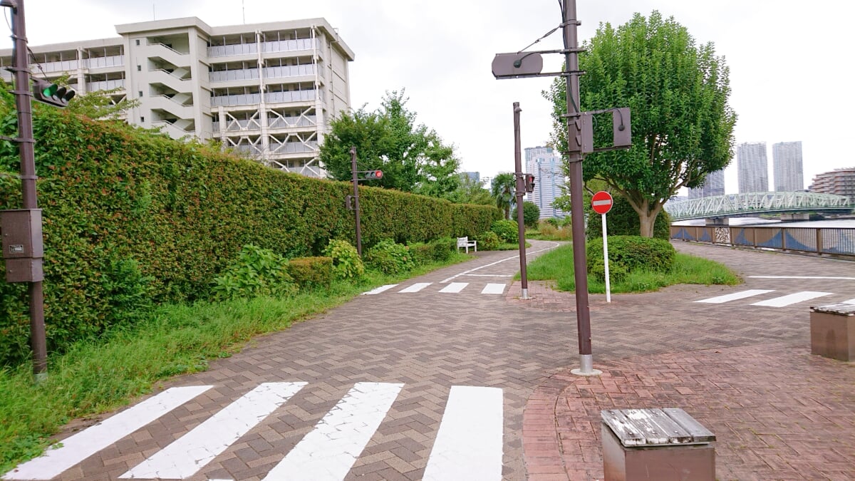 隅田川テラスの写真4