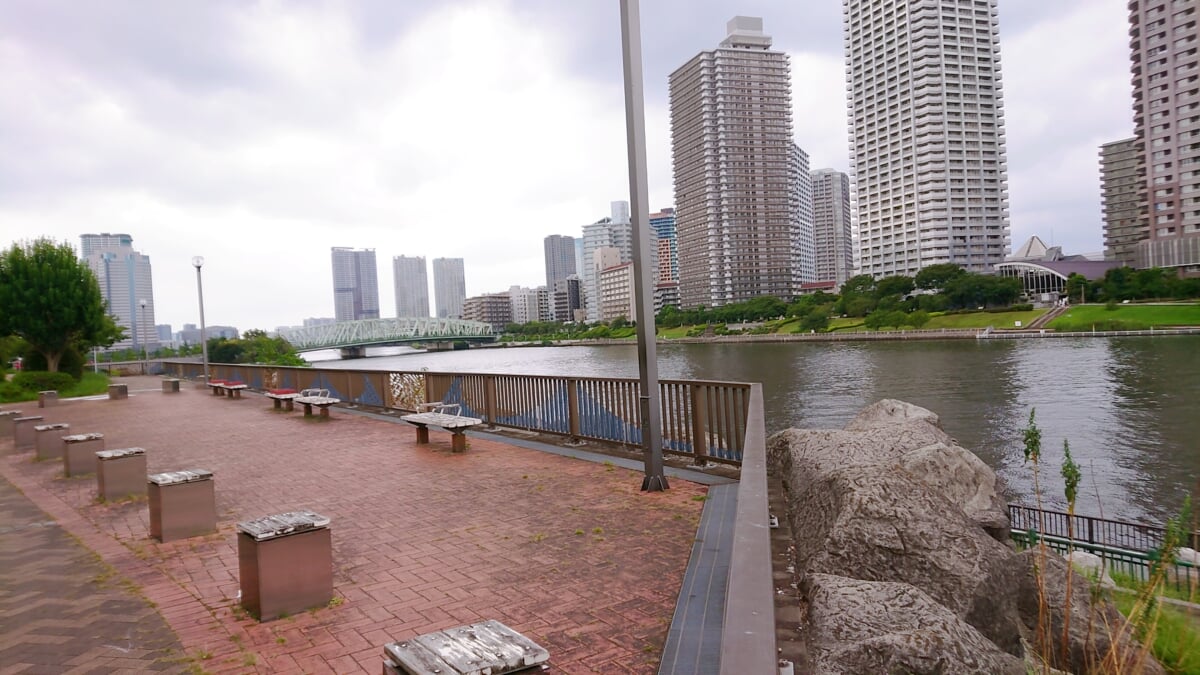 隅田川テラスの写真6