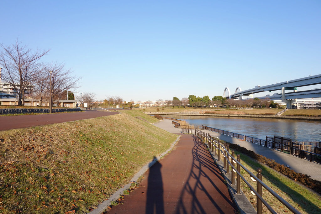 隅田川テラスの写真8