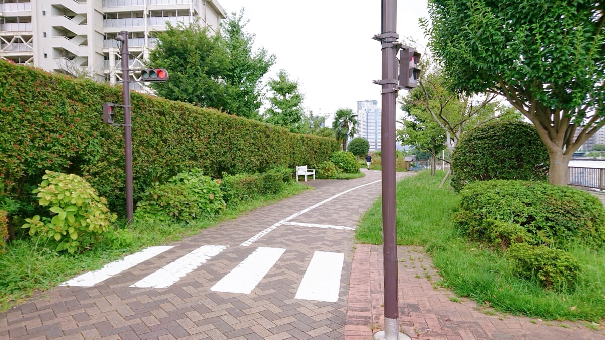 隅田川テラスの写真9