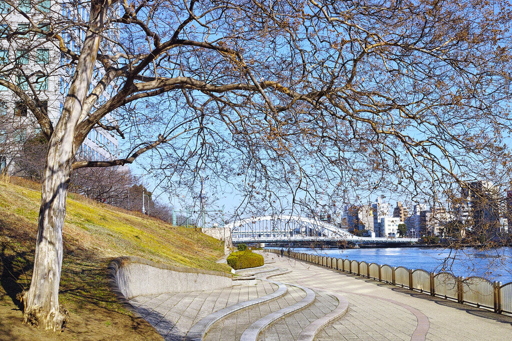 隅田川テラスの写真1