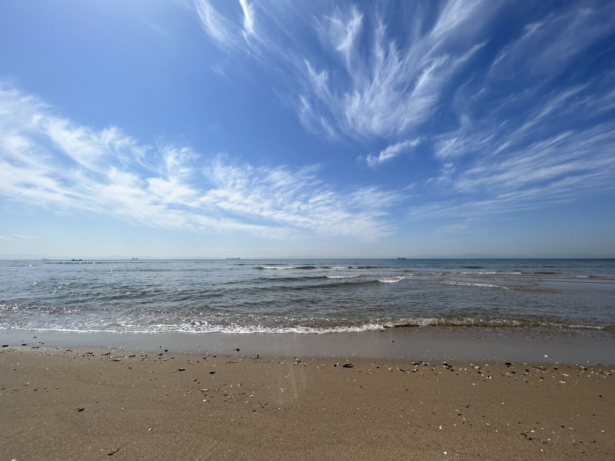 山海海水浴場の写真1
