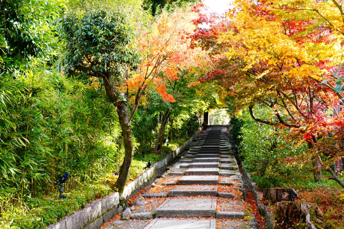 ねねの道の写真3