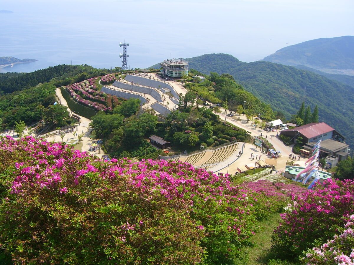 大平山山頂公園の写真1