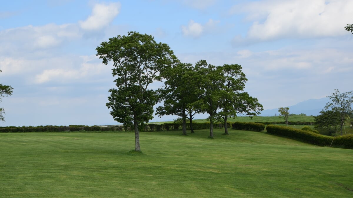 うぶやま牧場の写真6