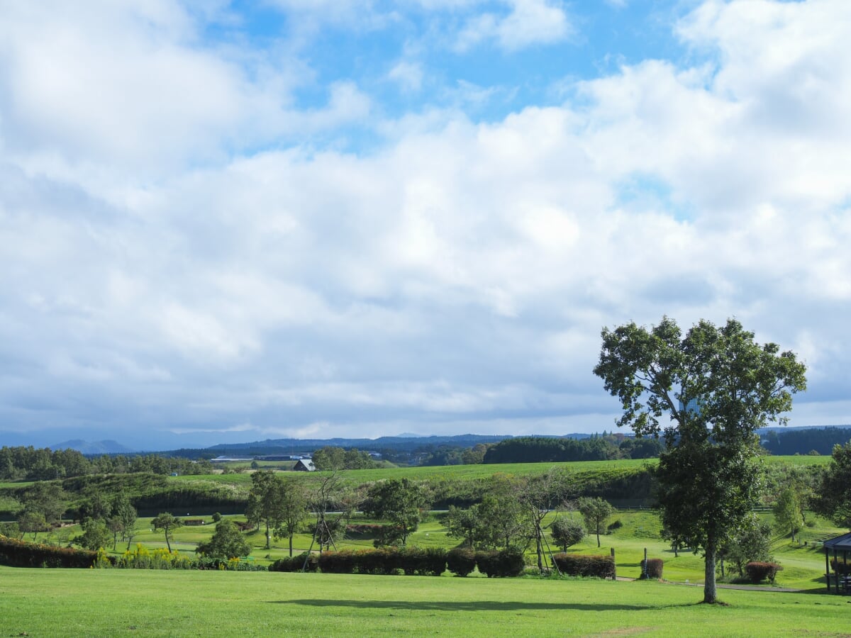 うぶやま牧場の写真8