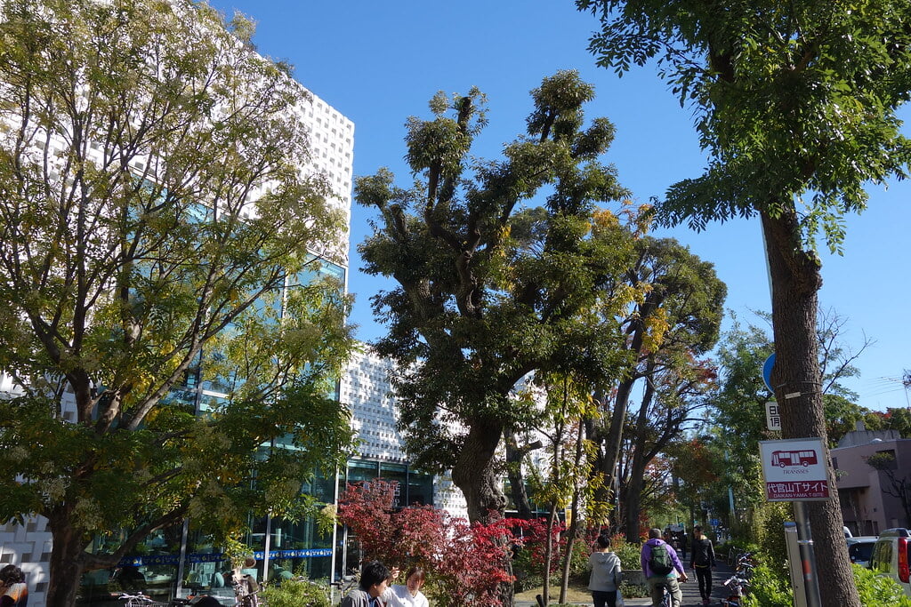 代官山T-SITE(蔦屋書店)の写真15