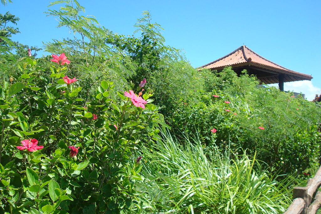 玉取崎展望台の写真2