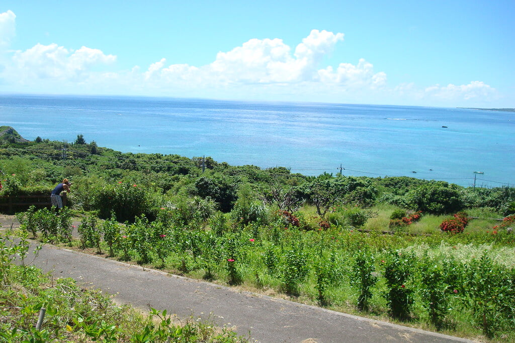 玉取崎展望台の写真4