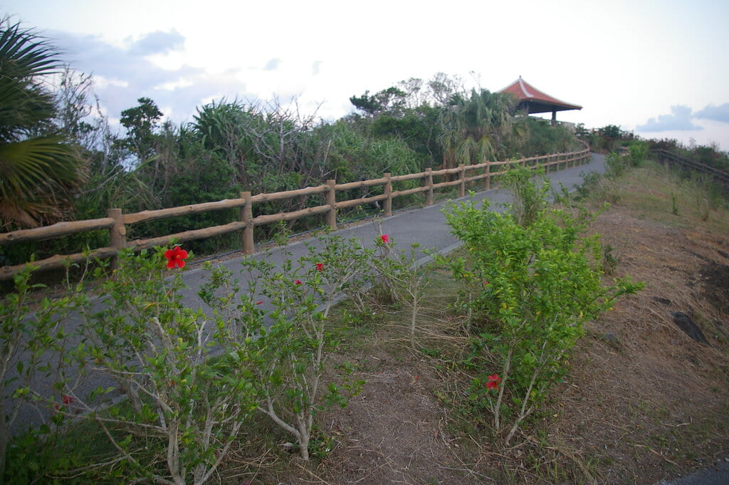 玉取崎展望台の写真8