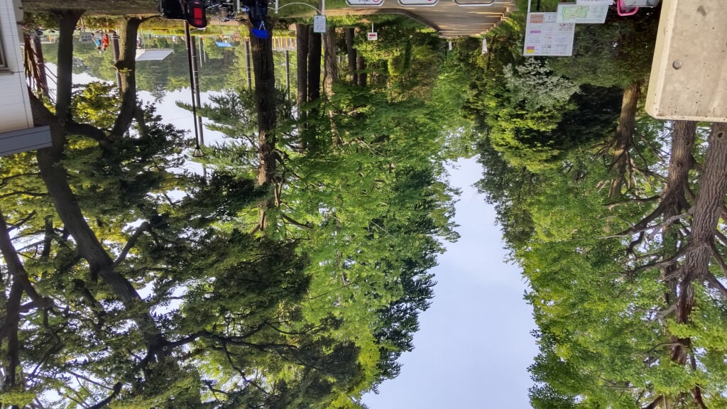 石神井松の風文化公園の写真5