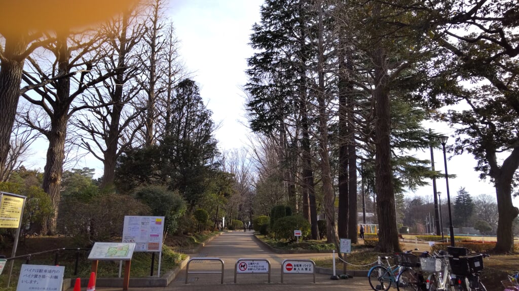 石神井松の風文化公園の写真6