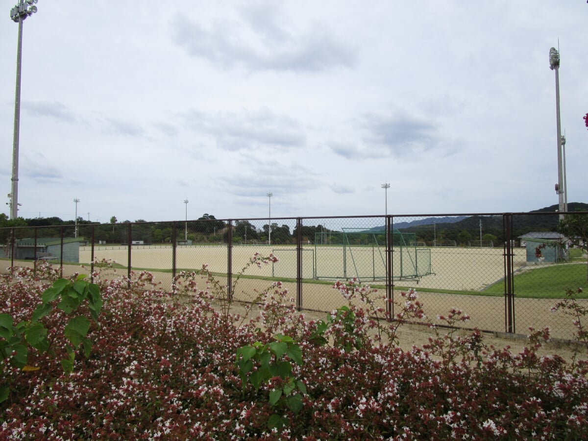 アスパ五色の写真3