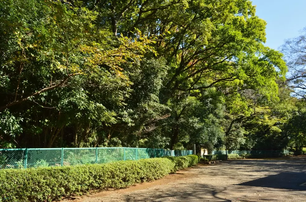 亀甲山古墳の写真1