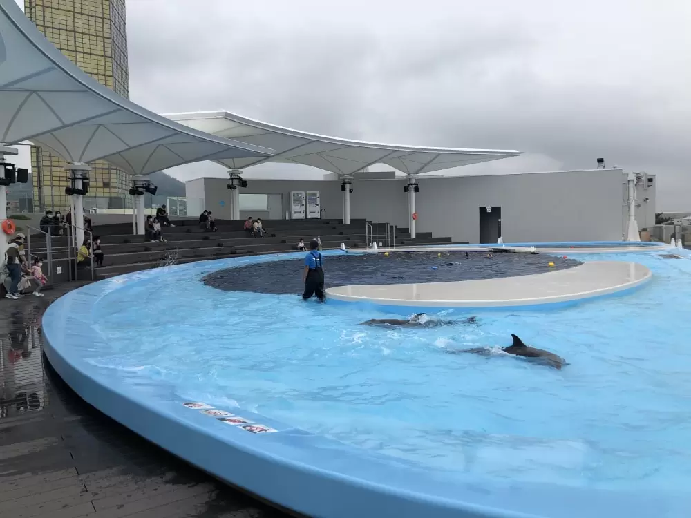 四国水族館の写真1