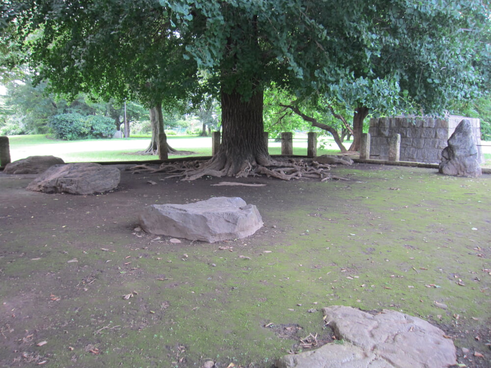 武蔵国分寺跡の写真2