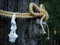 北口本宮冨士浅間神社