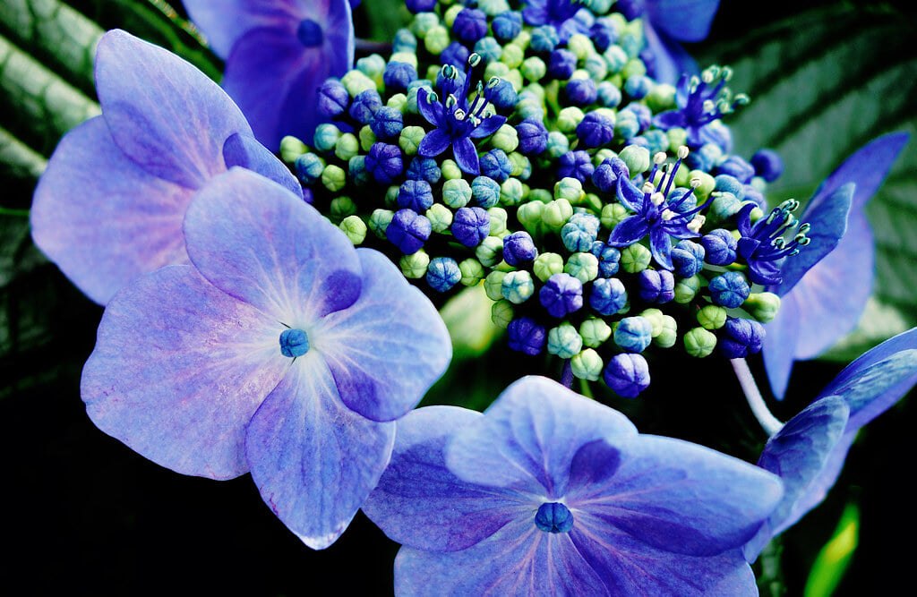 白山神社の写真3
