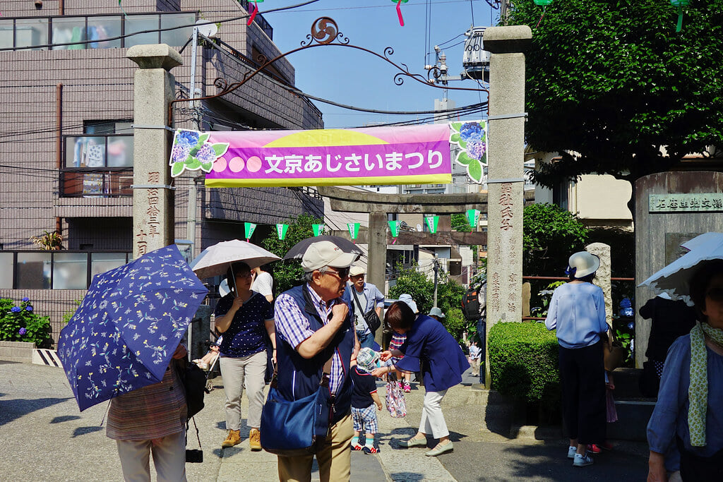 白山神社の写真4
