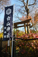 白山神社